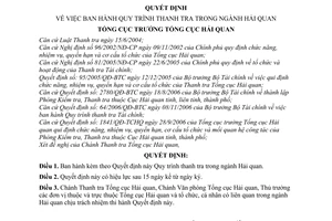 Quyết định 799/QĐ-TCHQ Quy trình thanh tra ngành Hải quan
