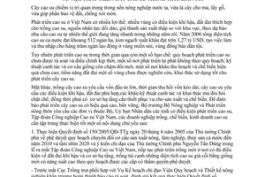 Chỉ thị 1339/CT-BNN-TT phát triển cây cao su thời gian tới