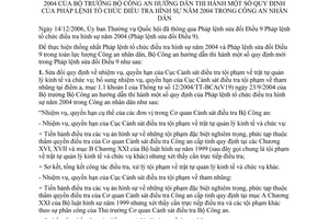 Thông tư 04/2007/TT-BCA Pháp lệnh tổ chức điều tra hình sự năm 2004 Công an nhân dân sửa đổi12/2004/TT-BCA(V19)