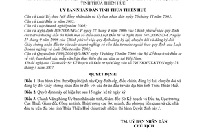 Quyết định 1175/2007/QĐ-UBND cấp, điều chỉnh, đăng ký lại,Giấy chứng nhận đầu tư