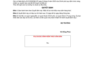 Quyết định 521/2007/QĐ-BKH mẫu hồ sơ mời thầu mua sắm hàng hóa