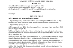 Nghị định 81/2007/NĐ-CP tổ chức, bộ phận chuyên môn bảo vệ môi trường tại cơ quan doanh nghiệp nhà nước