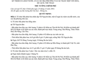 Quyết định 74/2007/QĐ-TTg tổ chức bắn pháo hoa nhân dịp Tết Nguyên đán ngày kỷ niệm đất nước địa phương ngày hộivăn hóa du lịch thể thao