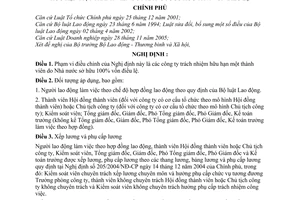 Nghị định 86/2007/NĐ-CP quản lý lao động tiền lương trong công ty TNHH 1 thành viên do Nhà nước sở hữu 100% vốn điều lệ