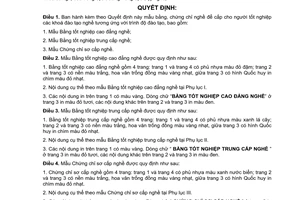 Quyết định 15/2007/QĐ-BLĐTBXH mẫu bằng, chứng chỉ nghề