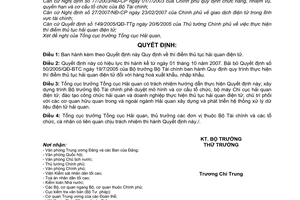 Quyết định 52/2007/QĐ-BTC Quy định thí điểm thủ tục hải quan điện tử