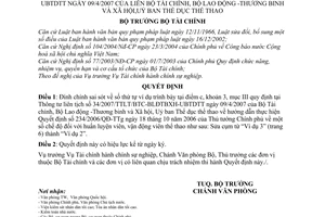 Quyết định 2176/QĐ-BTC số thứ tự ví dụ trình bày tại điểm c, khoản 3, mục III quy định Thông tư liên tịch  34/2007/TTLT/BTC-BLĐTBXH-UBTDTT