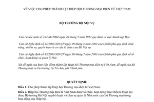 Quyết định 706/QĐ-BNV cho phép thành lập Hiệp Hội Thương mại Điện tử Việt Nam