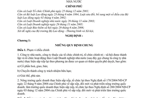 Nghị định 110/2007/NĐ-CP chính sách đối với người lao động dôi dư do sắp xếp lại công ty nhà nước