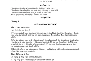 Nghị định 111/2007/NĐ-CP tổ chức, quản lý tổng công ty nhà nước chuyển đổi tổng công ty nhà nước độc lập mẹ con