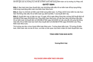Quyết định 02/2007/QĐ-KTNN hệ thống mẫu biểu hồ sơ kiểm toán