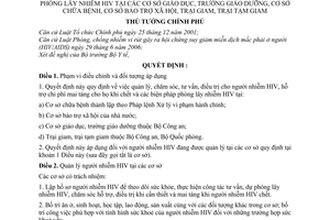 Quyết định 96/2007/QĐ-TTg chăm sóc điều trị phòng lây nhiễm người nhiễm HIV cơ sở giáo dục trường giáo dưỡng chữa bệnh bảo trợ xã hội trại tạm giam