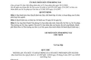 Quyết định 42/2007/QĐ-UBND Quy chế thành lập, tổ chức và hoạt động
