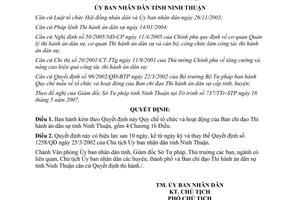 Quyết định 120/2007/QĐ-UBND Quy chế tổ chức hoạt động Ban chỉ đạo Thi hành án dân sự Ninh Thuận