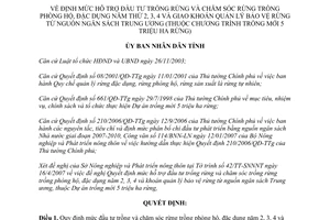 Quyết định 1158/QĐ-UBND năm 2007 định mức hỗ trợ đầu tư trồng và chăm sóc rừng