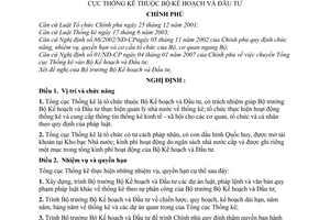 Nghị định 93/2007/NĐ-CP chức năng, nhiệm vụ, quyền hạn cơ cấu tổ chức Tổng cục Thống kê thuộc Bộ Kế hoạch và Đầu tư