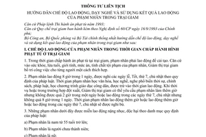 Thông tư liên tịch 07/2007/TTLT-BCA-BQP-BTC hướng dẫn chế độ lao động, dạy nghề và sử dụng kết quả lao động của phạm nhân trong trại giam