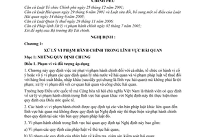 Nghị định 97/2007/NĐ-CP xử lý vi phạm hành chính cưỡng chế thi hành quyết định hành chính trong hải quan