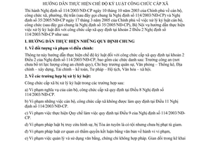 Thông tư 03/2007/TT-BNV hướng dẫn thực hiện chế độ kỷ luật công chức cấp xã