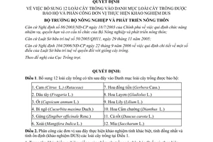 Quyết định 56/2007/QĐ-BNN bổ sung 12 loài cây trồng Danh mục loài cây trồng được bảo hộ phân công đơn vị khảo nghiệm DUS