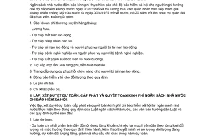 Thông tư 58/2007/TT-BTC hướng dẫn quản lý tài chính Bảo hiểm Xã hội Việt Nam