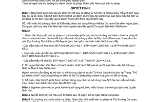 Quyết định 04/2007/QĐ-BTP sổ đăng ký hộ tịch biểu mẫu hộ tịch sử dụng Cơ quan Đại diện ngoại giao lãnh sự Việt Nam tại nước ngoài