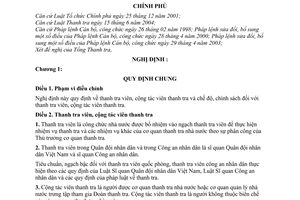 Nghị định 100/2007/NĐ-CP thanh tra cộng tác viên thanh tra