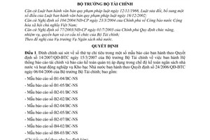 Quyết định 2080/QĐ-BTC Hệ thống báo cáo tài chính kế toán quản trị áp dụng chế độ kế toán ngân sách nhà nước đính chính Quyết định 14/2007/QĐ-BTC