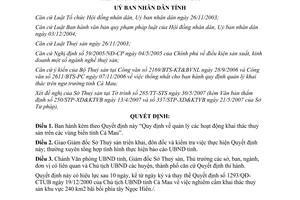 Quyết định 21/2007/QĐ-UBND quản lý hoạt động khai thác thuỷ sản trên vùng biển