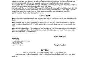 Quyết định 845/QĐ-BHXH quản lý chi trả chế độ bảo hiểm xã hội bắt buộc