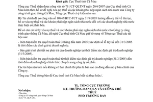 Công văn  2886/TCT-QLN  bổ sung hồ sơ xóa nợ thuế