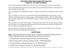 Nghị quyết 06/2007/NQ-HĐND phụ cấp đối với Ban Bảo vệ dân phố phường thị trấn