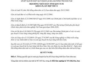 Nghị quyết 15/2007/NQ-HĐND kết quả rà soát quy hoạch lại ba loại rừng Kon Tum