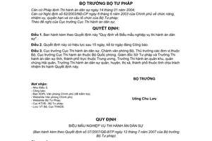 Quyết định 07/2007/QĐ-BTP Quy định Biểu mẫu nghiệp vụ thi hành án dân sự