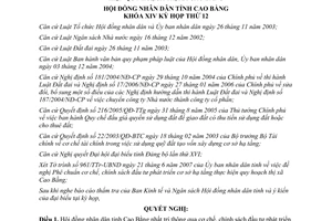 Nghị quyết 02/2007/NQ-HĐND phát triển cơ sở hạ tầng thực hiện quy hoạch thị xã Cao Bằng
