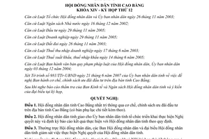 Nghị quyết 04/2007/NQ-HĐND thông qua cơ chế, chính sách ưu đãi đầu tư