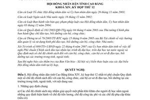 Nghị quyết 12/2007/NQ-HĐND quy định chế độ chính sách đối với cán bộ công chức