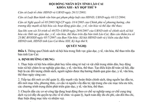 Nghị quyết 06/2007/NQ-HĐND Chính sách xã hội hóa trong lĩnh vực giáo dục