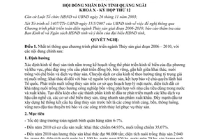 Nghị quyết 08/2007/NQ-HĐND phát triển Thủy sản 2006-2010 Quảng Ngãi