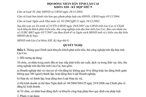 Nghị quyết 09/2007/NQ-HĐND chính sách khuyến khích phát triển tiểu thủ công