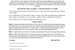 Quyết định 19/2007/QĐ-BLĐTBXH tổ chức bộ máy hoạt động đưa người lao động làm việc nước ngoài bộ máy chuyên trách bồi dưỡng kiến thức người lao động