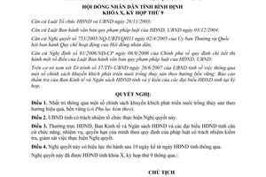Nghị quyết 06/2007/NQ-HĐND phát triển nuôi trồng thủy sản hiệu quả bền vững Bình Định