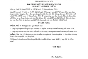 Nghị quyết số 12/2007/NQ-HĐND Quy hoạch đào tạo nhiều lực; khai thác khoáng sản