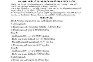 Nghị quyết 07/2007/NQ-HĐND về việc tổng quyết toán ngân sách huyện năm 2006