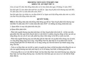 Nghị quyết 13/2007/NQ-HĐND quy hoạch phát triển thương mại Bến Tre