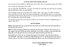 Quyết định 34/2007/QĐ-UBND Quy định thực hiện hoạt động đầu tư