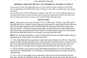 Nghị quyết 07/2007/NQ-HĐND thông qua nhiệm vụ điều chỉnh quy hoạch chung xây dựng huyện Cần Giờ đến năm 2020