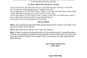 Quyết định 06/2007/QĐ-UBND Quy định tạm thời quản lý sử dụng vỉa hè thị trấn Cần Thạnh, huyện Cần Giờ