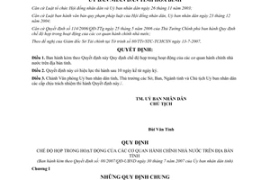 Quyết định 08/2007/QĐ-UBND Quy định chế độ họp trong hoạt động cơ quan nhà nước