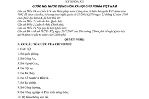Nghị quyết 01/2007/QH12 cơ cấu tổ chức của Chính phủ và số phó Thủ tướng Chính phủ nhiệm kỳ khoá XII